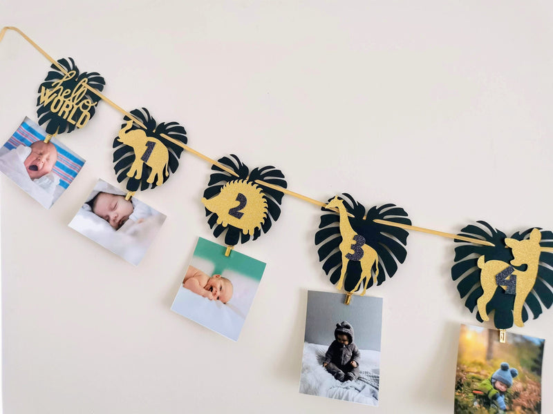 Personalised Wild One Birthday Photo Clips