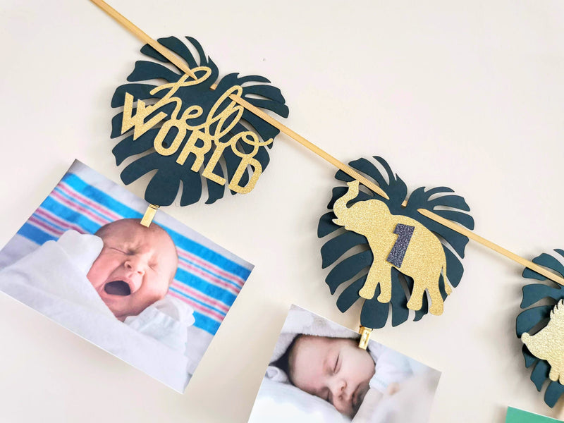 Personalised Wild One Birthday Photo Clips