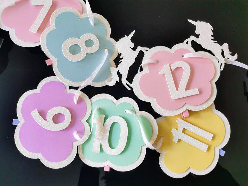 Custom Pastel Unicorn 1st Birthday photo clips