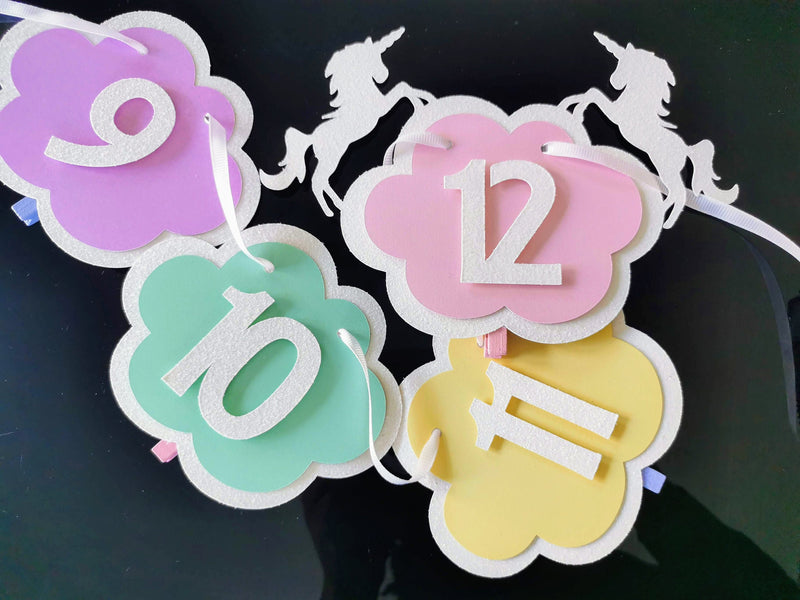 Custom Pastel Unicorn 1st Birthday photo clips