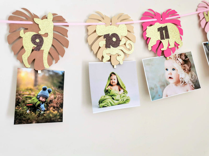 Personalised Girl Wild One Birthday Photo Clips