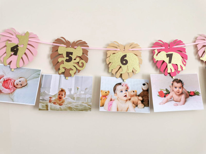 Personalised Girl Wild One Birthday Photo Clips