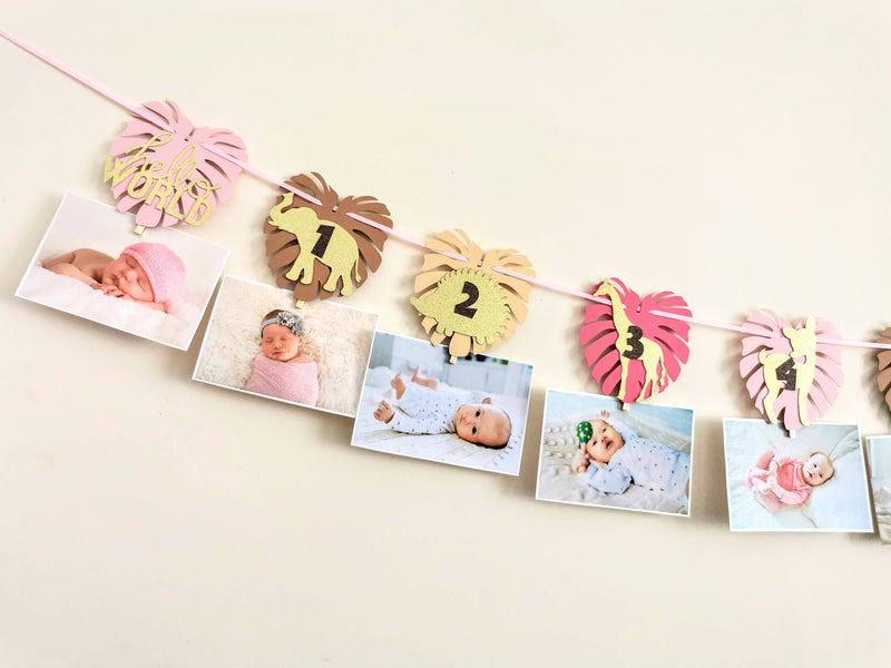 Personalised Girl Wild One Birthday Photo Clips