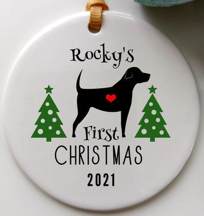 Personalised Pet's First Christmas Tree Ornament